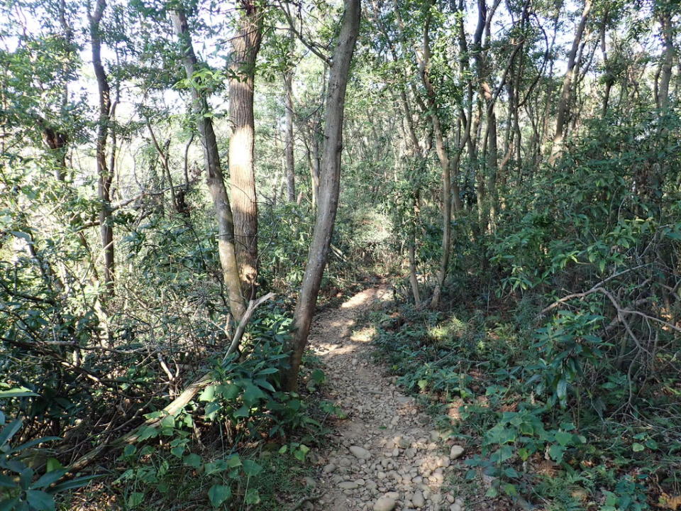 挑水古道＋碧山古道