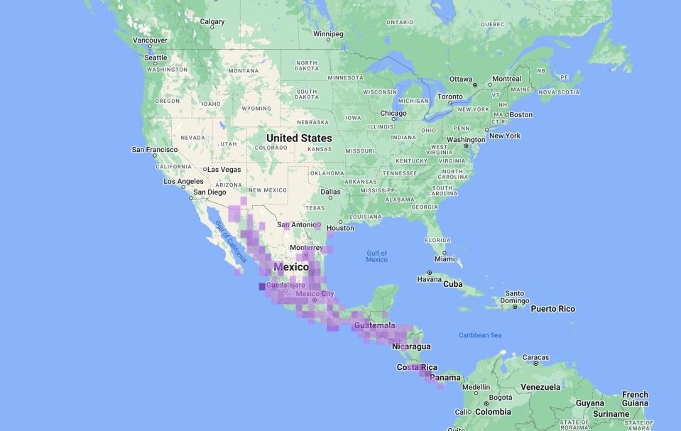 An eBird map shows purple squares for reported sightings of flame-colored tanagers. The species, native to Mexico and Central America, was spotted recently in Wisconsin for the first time.