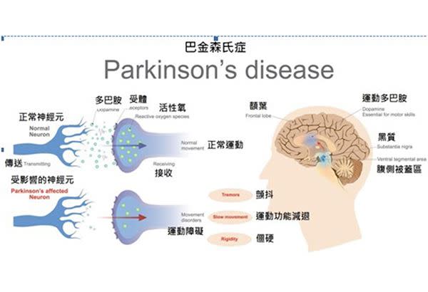 （圖片提供／柏樂出版社）