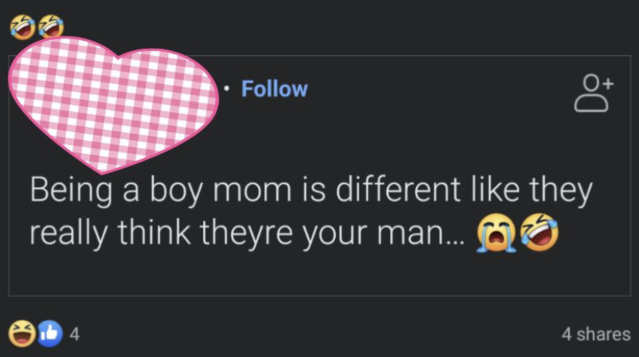 11 Photos That Prove Just How Toxic Boy Mom Culture Really Is