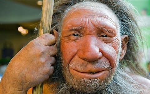 Neanderthals had no more skull injuries than humans - Credit: kolvenbach / Alamy