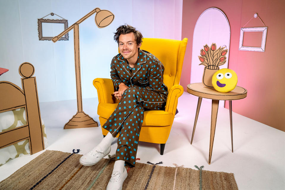 Harry Styles settles in for a story. (BBC)