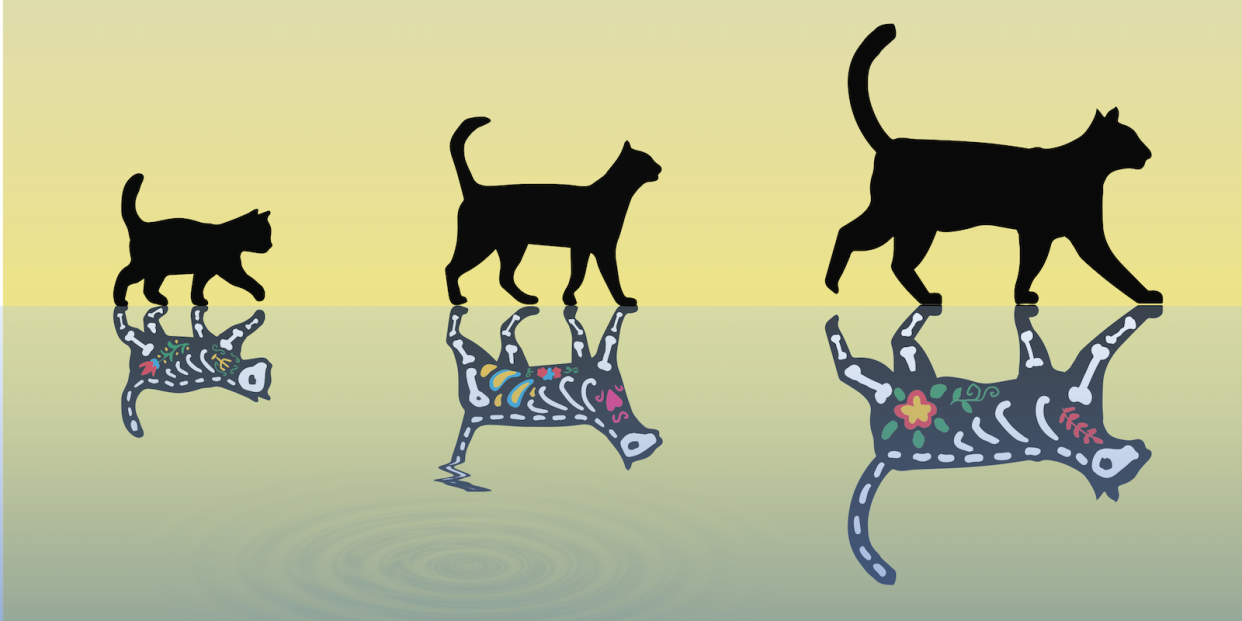  An artist's illustration of three Schrödinger's cats. 