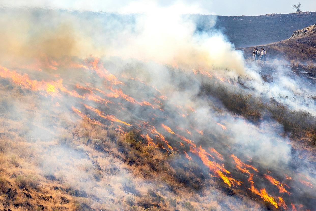 Western Wildfires (©Lewiston Tribune)