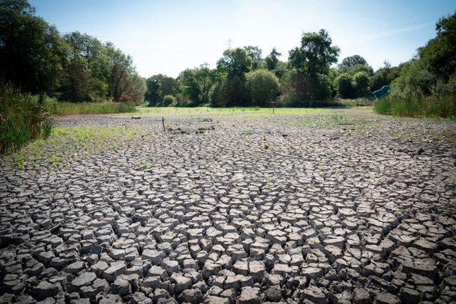 A dried up lake in Wanstead Park, north east London 