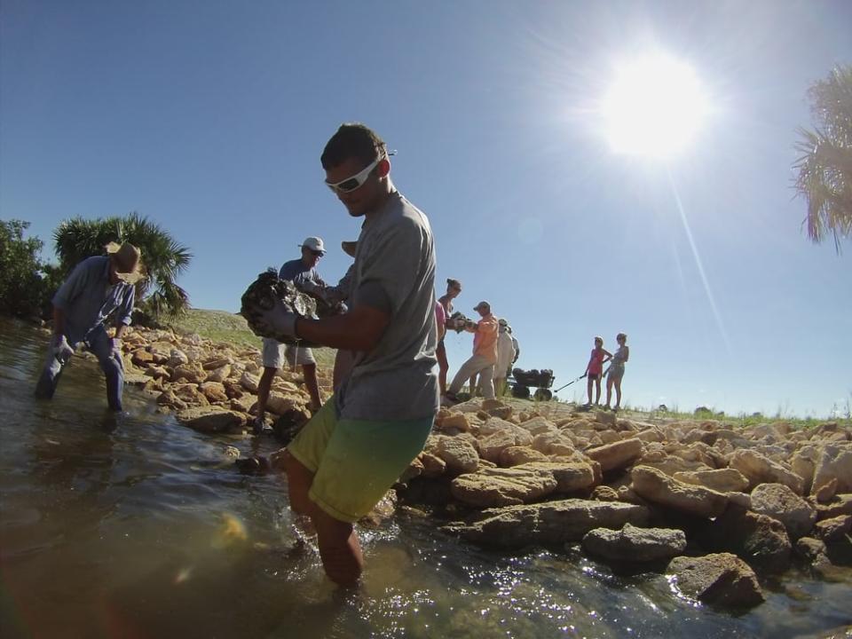 Aww shucks!!! Oyster recycling program reaches major milestone