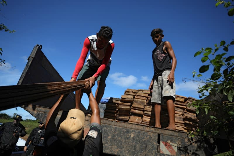 Police operation named Flora Amazonica against illegal sawmills and loggers in Manacapuru near Manaus, Amazonas state