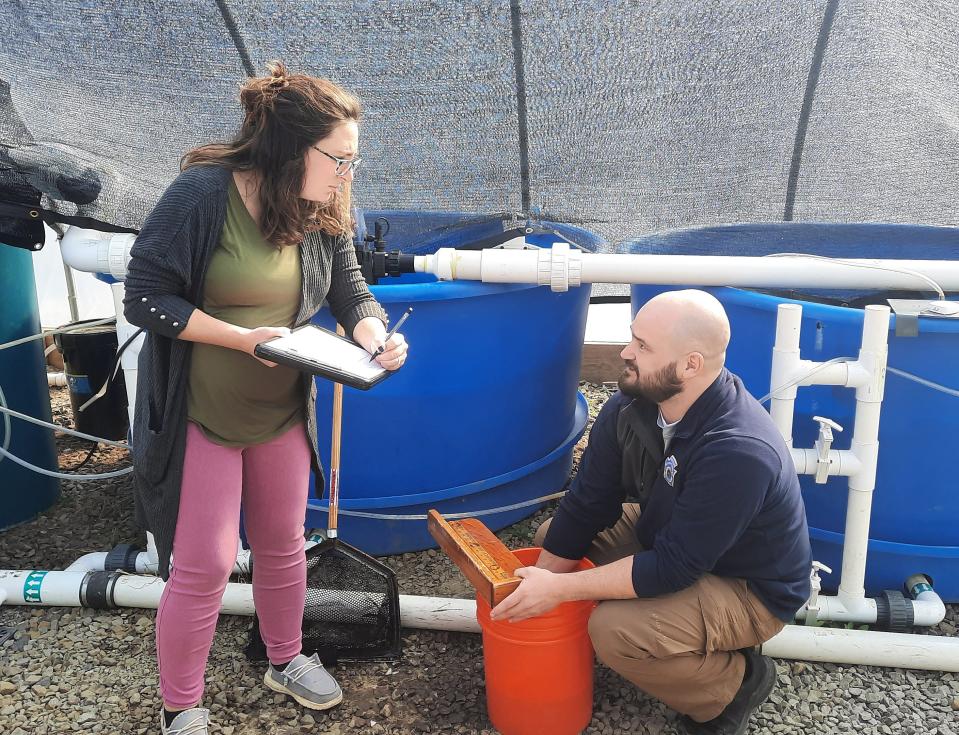 Shanksville-Stonycreek Agriculture teacher Britton Stutzman records information Monday from Josh Keslar, a Pennsylvania Fish and Boat Commission fisheries technician. Keslar inspects the fish and tanks used to raise channel catfish at the school.