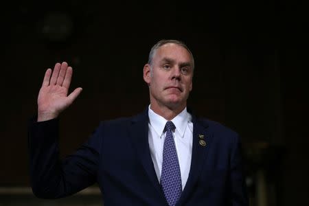 U.S. Representative Ryan Zinke (R-MT), a former Navy SEAL commander, testifies before a Senate Energy and Natural Resources Committee confirmation hearing on his nomination to be Interior Secretary at Capitol Hill in Washington, U.S., January 17, 2017. REUTERS/Carlos Barria