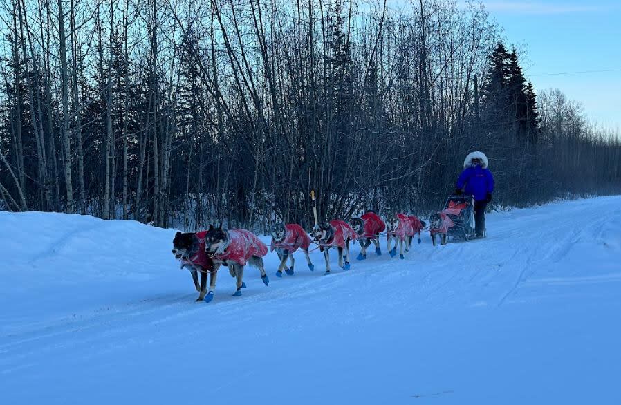 Mayla Hill arriving in Carmacks as part of the Yukon Quest 450. 