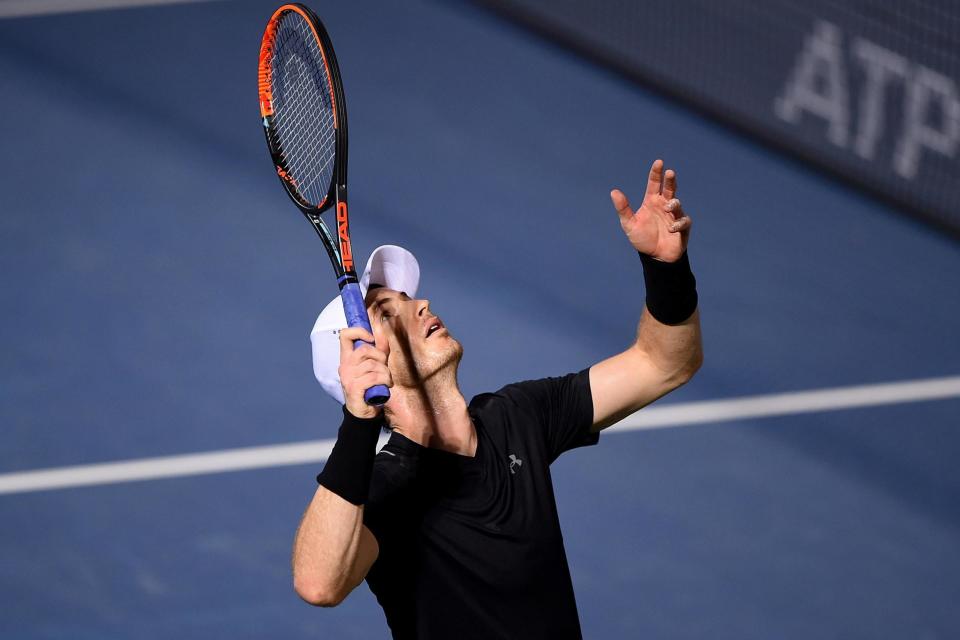 Final-bound: Murray will face Fernando Verdasco: Getty Images