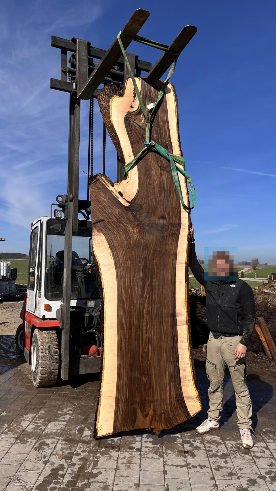 Man standing next to a forklift holding a large, sliced tree trunk with dark wood