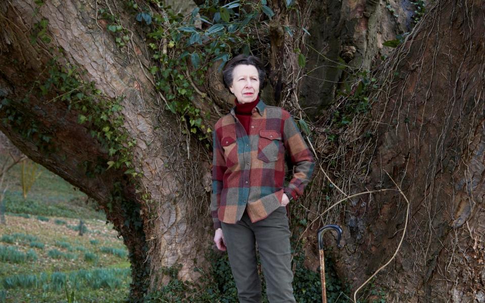 Princess Anne does country casual - John Swannell/ Reuters