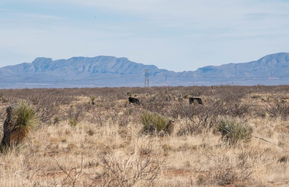 New Mexico State University’s Chihuahuan Desert Rangeland Research Center will host a field day at the State University Ranch Headquarters from 8:30 a.m. to 12 p.m. Nov. 10.