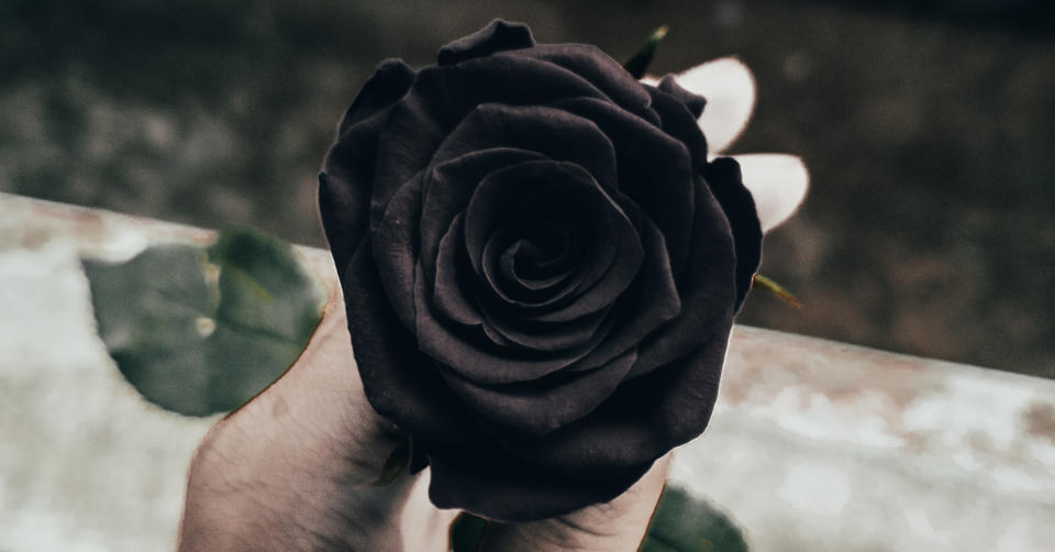 鮮花也有潮流！是什麼原因，讓韓國男生流行送女生黑色玫瑰花？