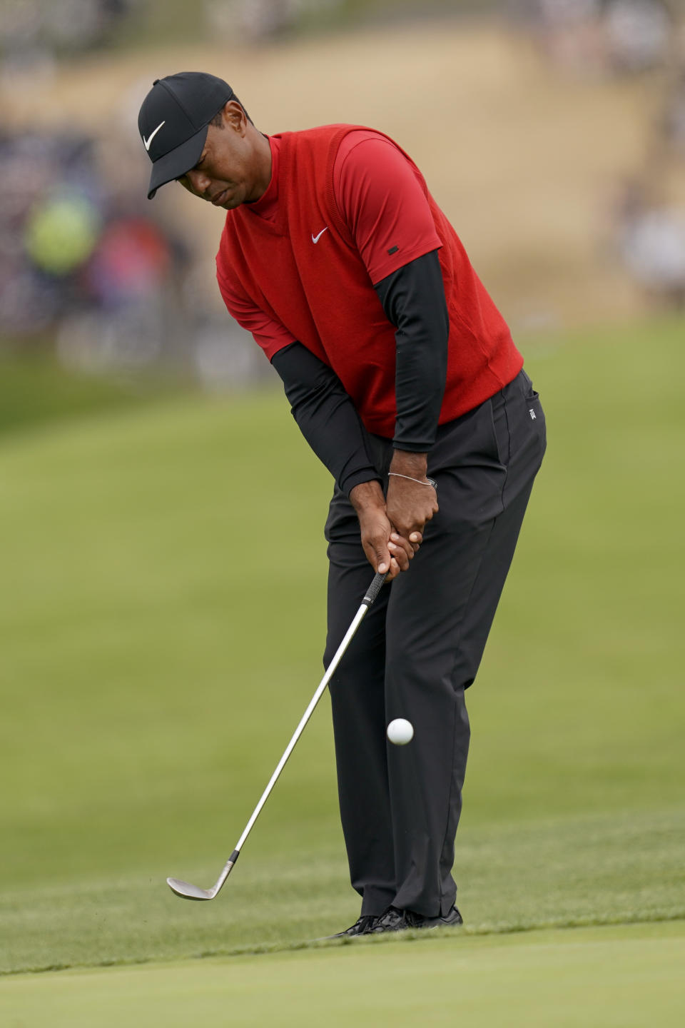 Tiger Woods hits a chip shot on the sixth hole during the final round of the U.S. Open Championship golf tournament Sunday, June 16, 2019, in Pebble Beach, Calif. (AP Photo/David J. Phillip)