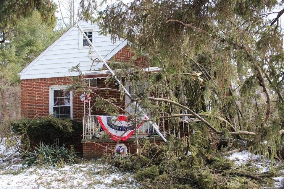 The top of an 80-foot pine tree rests on Dean and Nancy Babcock's home on Vivian Road.