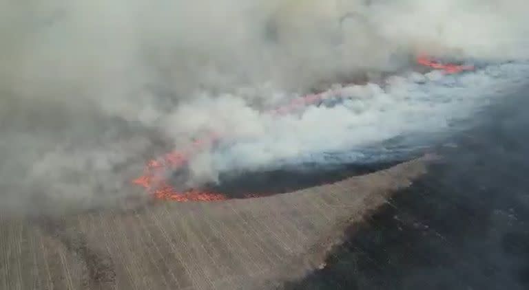 Las llamas consumieron 70 hectáreas de girasol al vecino de los Bilbao y 30 de trigo