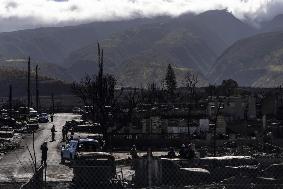 Search and rescue team members work in a residential area devastated by a wildfire in Lahaina, Hawaii, Friday, Aug. 18, 2023. An emergency official who defended a decision to not sound outdoor alert sirens on Maui as a ferocious fire raged has resigned. (AP Photo/Jae C. Hong)