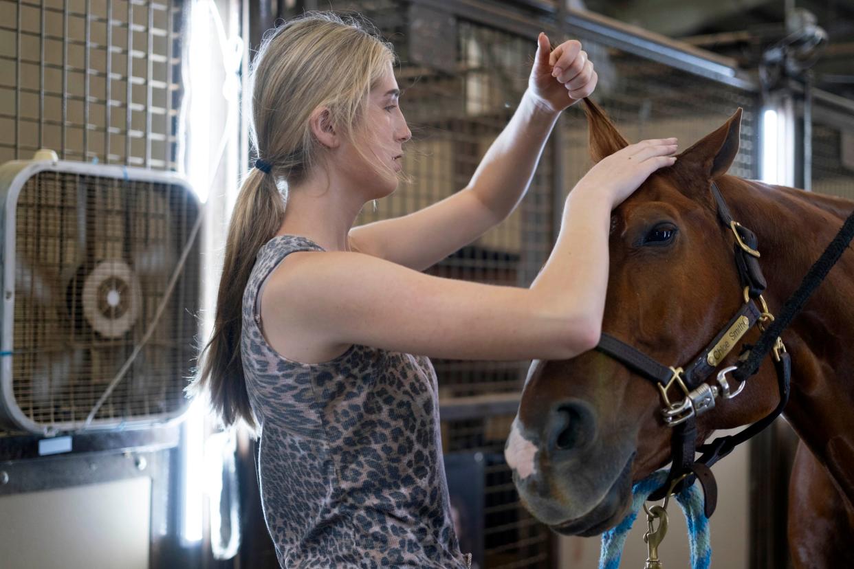 Chloe Smith, 17, from Washington, grooms Louie during the 2023 AQHYA World Championship Show at the OKC Fairgrounds.