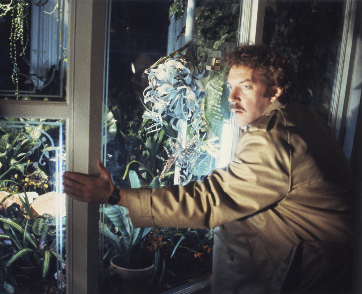 El actor canadiense Donald Sutherland en el plató del clásico del cine de terror Los usurpadores de cuerpos, basada en la novela de Jack Finney y dirigida por Philip Kaufman. (Foto de United Artists/Sunset Boulevard/Corbis vía Getty Images)