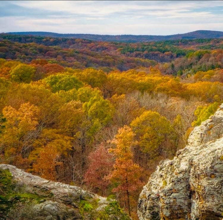 Fall colors in the Shawnee National Forest as seen from the Observation Trail at Garden of the Gods.