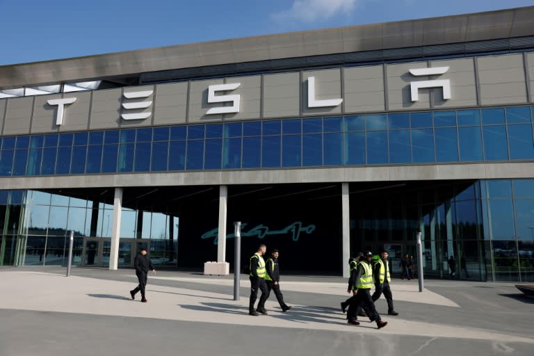 Bei einer Protestaktion gegen den Ausbau des Tesla-Werks im brandenburgischen Grünheide haben mehrere Teilnehmer versucht, auf das Fabrikgelände vorzudringen. (Odd ANDERSEN)