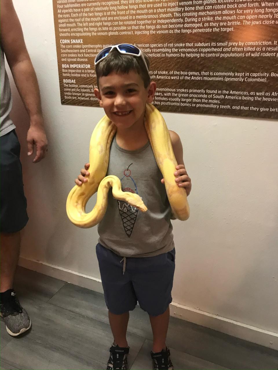 Jasper the snake is held by Amber Stortz's son, Eli, in this July 2021 photo taken at the Alligator and Wildlife Discovery Center in Madeira Beach, Florida.