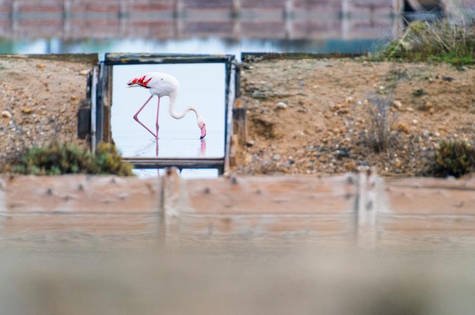 "Window to the salt pan" by Mano Aliczki.