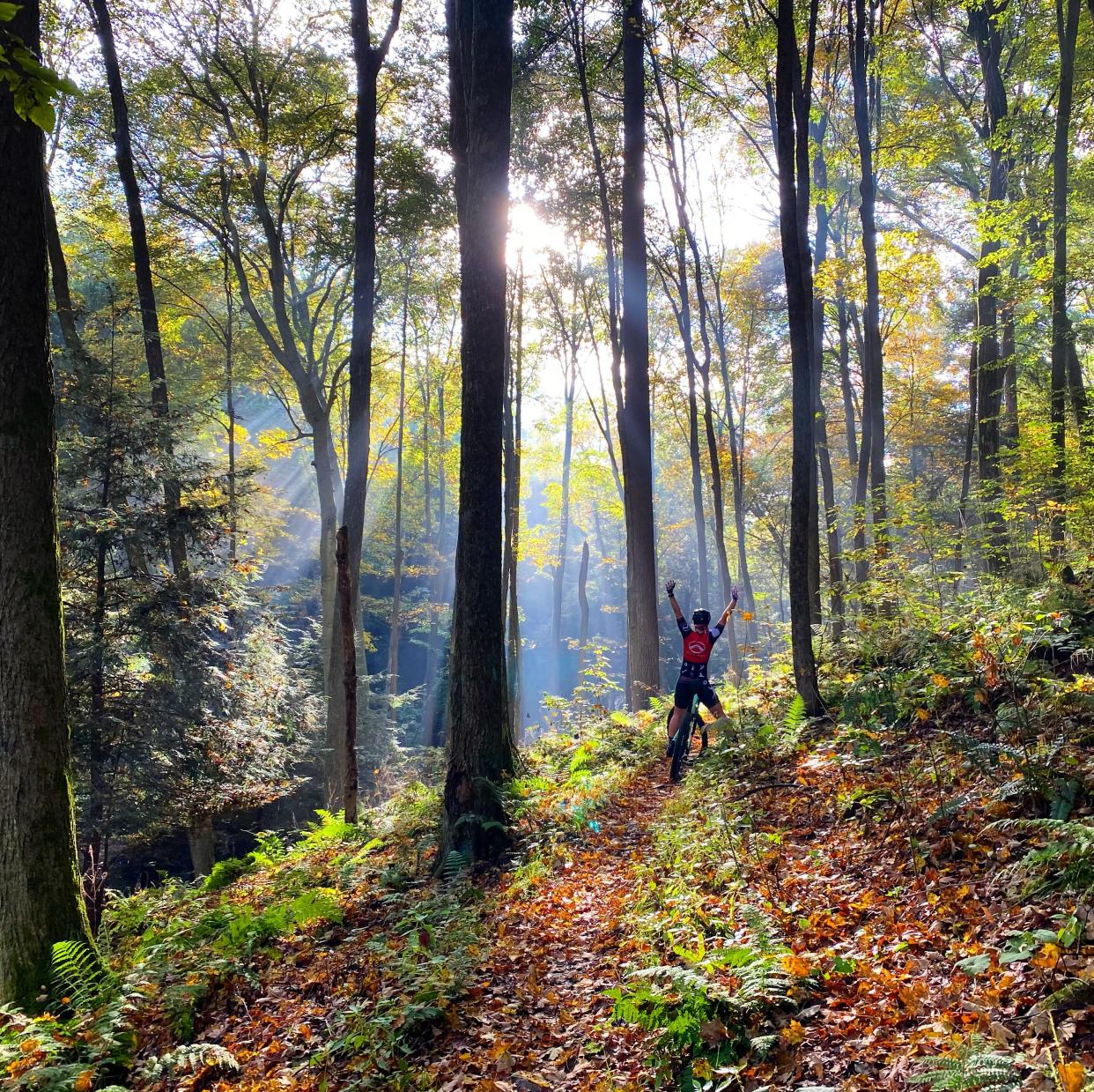 Ashley Hendershot of Ashland garnered first place in the Ohio State Parks photo contest for her photo taken at Mohican State Park.
