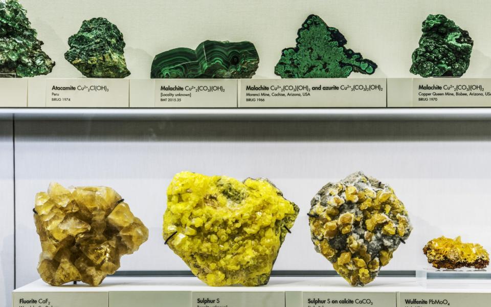 Lapworth Museum of Geology - Credit: Marc Atkins/Art Fund