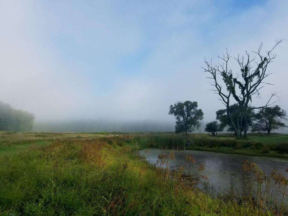 Photographer Sikena Khadija strives to make a positive impact by raising awareness of environmental issues and fostering a deep appreciation for the natural world through her work.