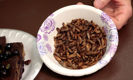 A bowl of edible freeze-dried crickets is displayed during the 'Eating Insects Detroit: Exploring the Culture of Insects as Food and Feed' conference at Wayne State University in Detroit, Michigan May 26, 2016. REUTERS/Rebecca Cook
