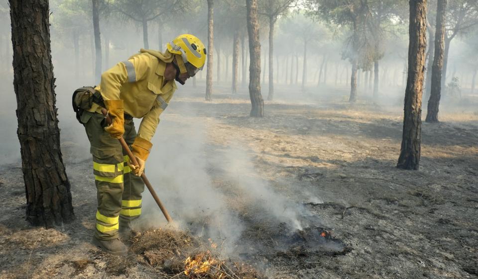 <p>Un incendio enorme alcanzó a la reserva de la biosfera de la UNESCO en el sur de España, provocando la evacuación de cientos de personas. (FOTO: EFE). </p>