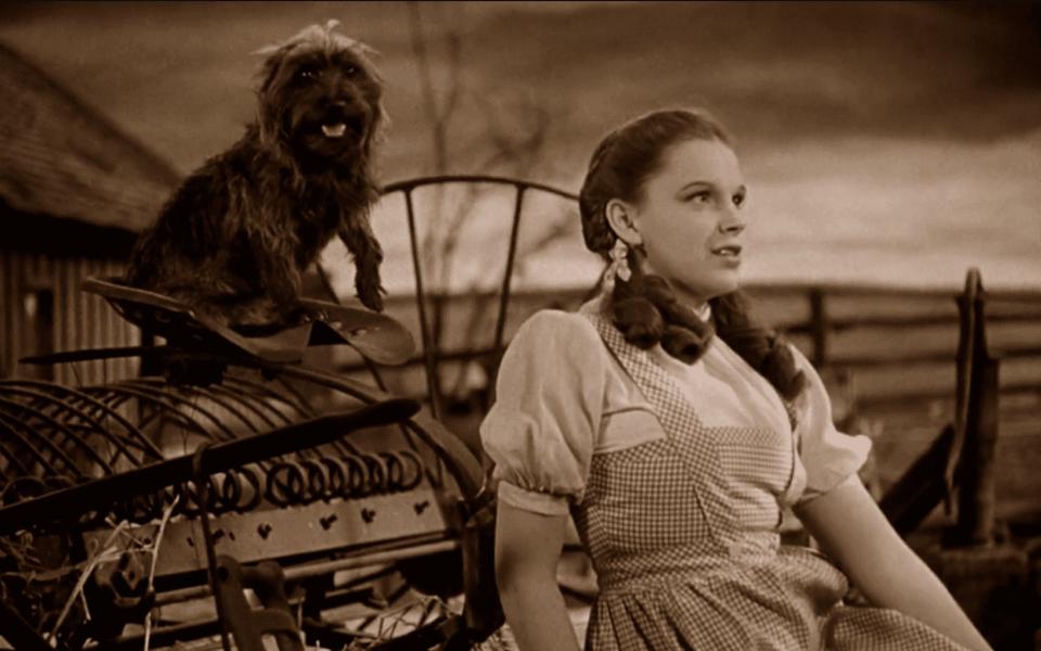 This shot from the 1939 movie shows the sepia tones that colored scenes of Dorothy's home in Kansas with brown, dusty nostalgia.