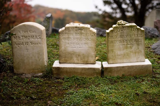 Running a pet cemetery is a unique kind of family business. (Photo: Damon Dahlen/HuffPost)
