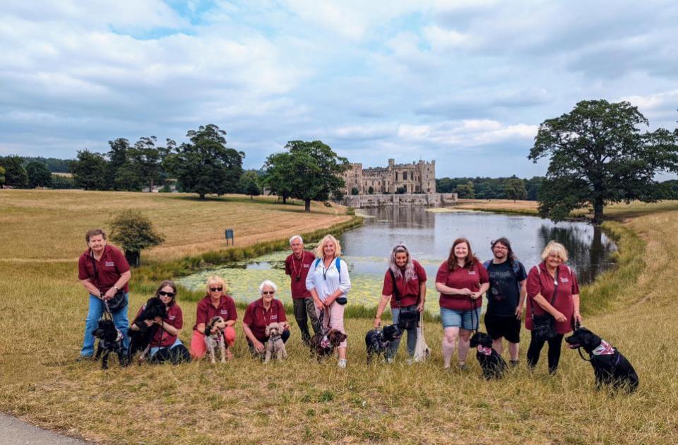 Darlington and Stockton Times: The Great British Dog Walk takes place at Raby Castle this weekend