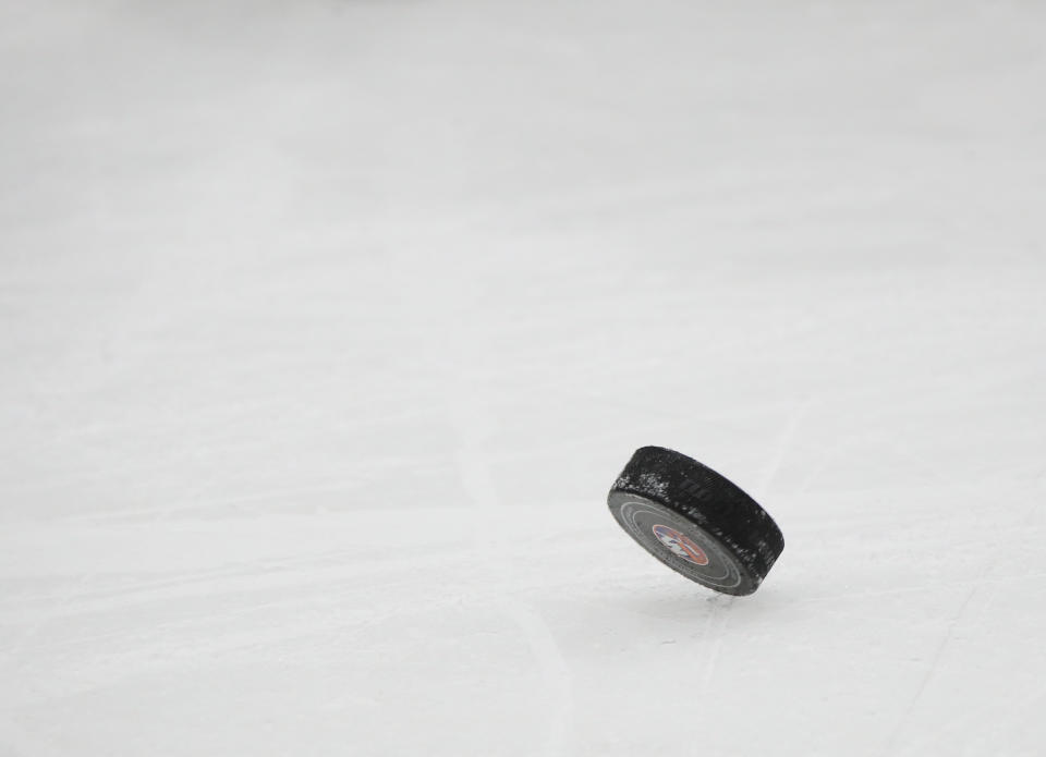 Hockey puck on the ice. 