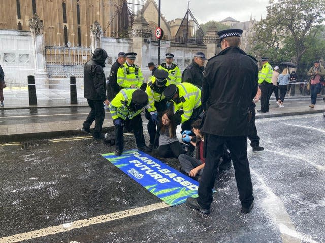 Animal Rebellion protest