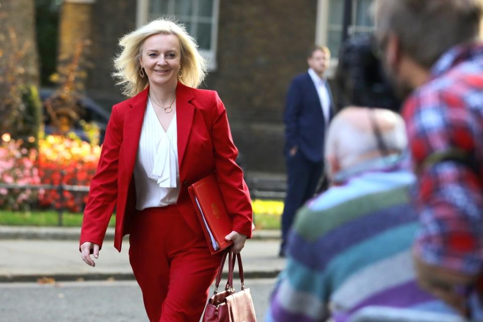 International Trade Secretary Liz Truss will set out the UK’s new post-Brexit trade strategy (Aaron Chown/PA) (PA Archive)