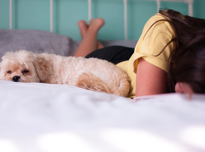 Should You Let Your Dog Sleep with You? 7 Benefits to Consider