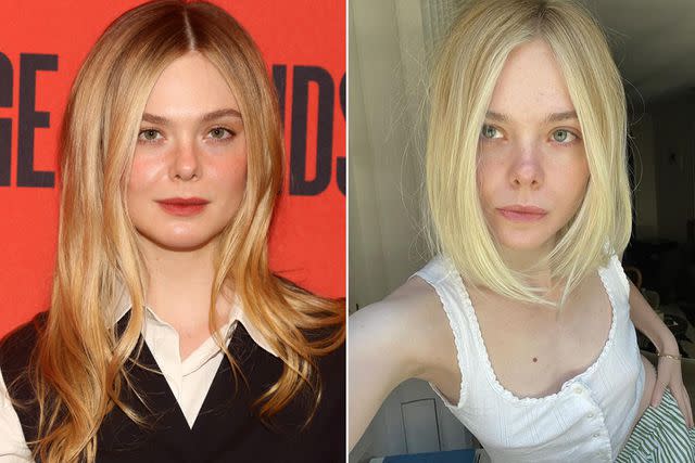 <p>Bruce Glikas/Getty; elle fanning/ Instagram</p>