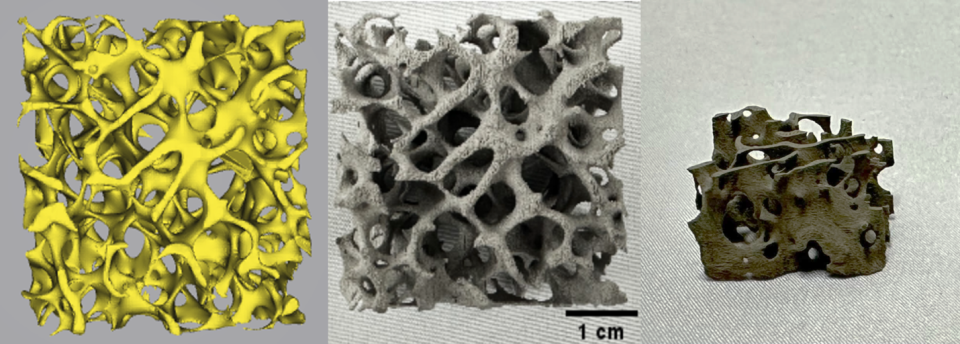 High-resolution CT scan of bone structure, STL file (left), Sintered part UniFuseTM (Center), Green part BJT L25- didn’t survive de-powdering (Right)