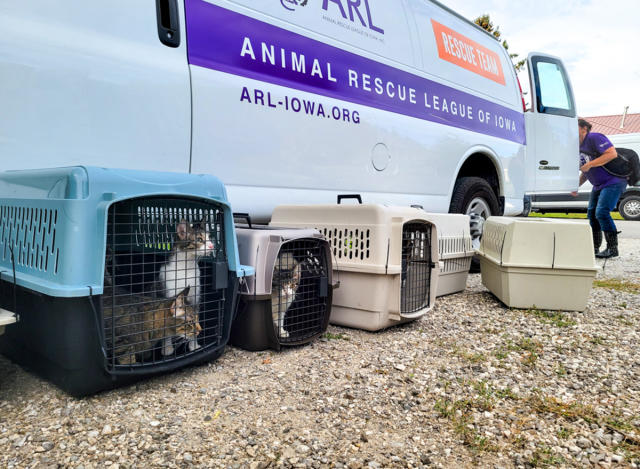 Man Left His Puppy Tied Up at Iowa Airport While He Caught a Flight Because  He Didn't Know He Needed a Kennel to Transport Dog on Plane