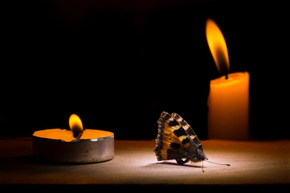 A moth sits between two lit candles