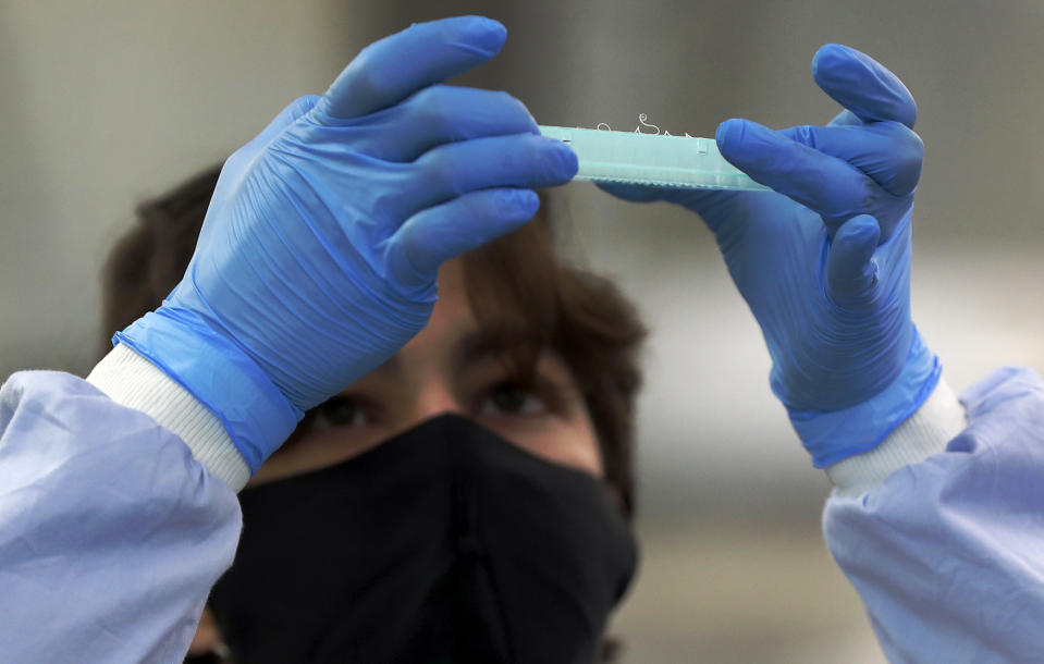 A lab assistant looks at an assay plate to prepare sequencing at the Wellcome Sanger Institute that is operated by Genome Research in Cambridge, Thursday, March 4, 2021. Cambridge University microbiologist Sharon Peacock understood that genomic sequencing would be crucial in tracking the coronavirus, controlling outbreaks and developing vaccines, so she began working with colleagues around the country to put together a plan when there were just 84 confirmed cases in the country. The initiative helped make Britain a world leader in rapidly analyzing the genetic material from large numbers of COVID-19 infections, generating more than 40% of the genomic sequences identified to date.(AP Photo/Frank Augstein)