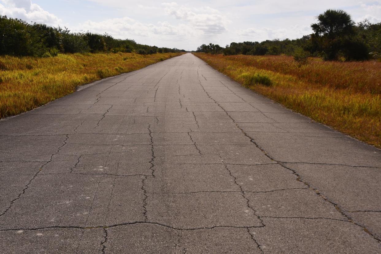 Two teen boys were found shot to death in a remote area of Palm Bay known as 'The Compound' on Christmas night. The compound is located in the southwestern area of Palm Bay and is is an undeveloped area of 12.2 square miles made up of palmettos, pepper trees, wax myrtles and a criss-cross of roads. 