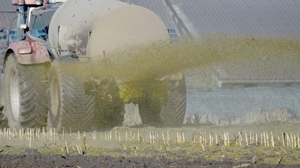 Nach der Frostperiode sind Landwirte seit Anfang Februar dabei, Grünland und Getreideäcker zu düngen.