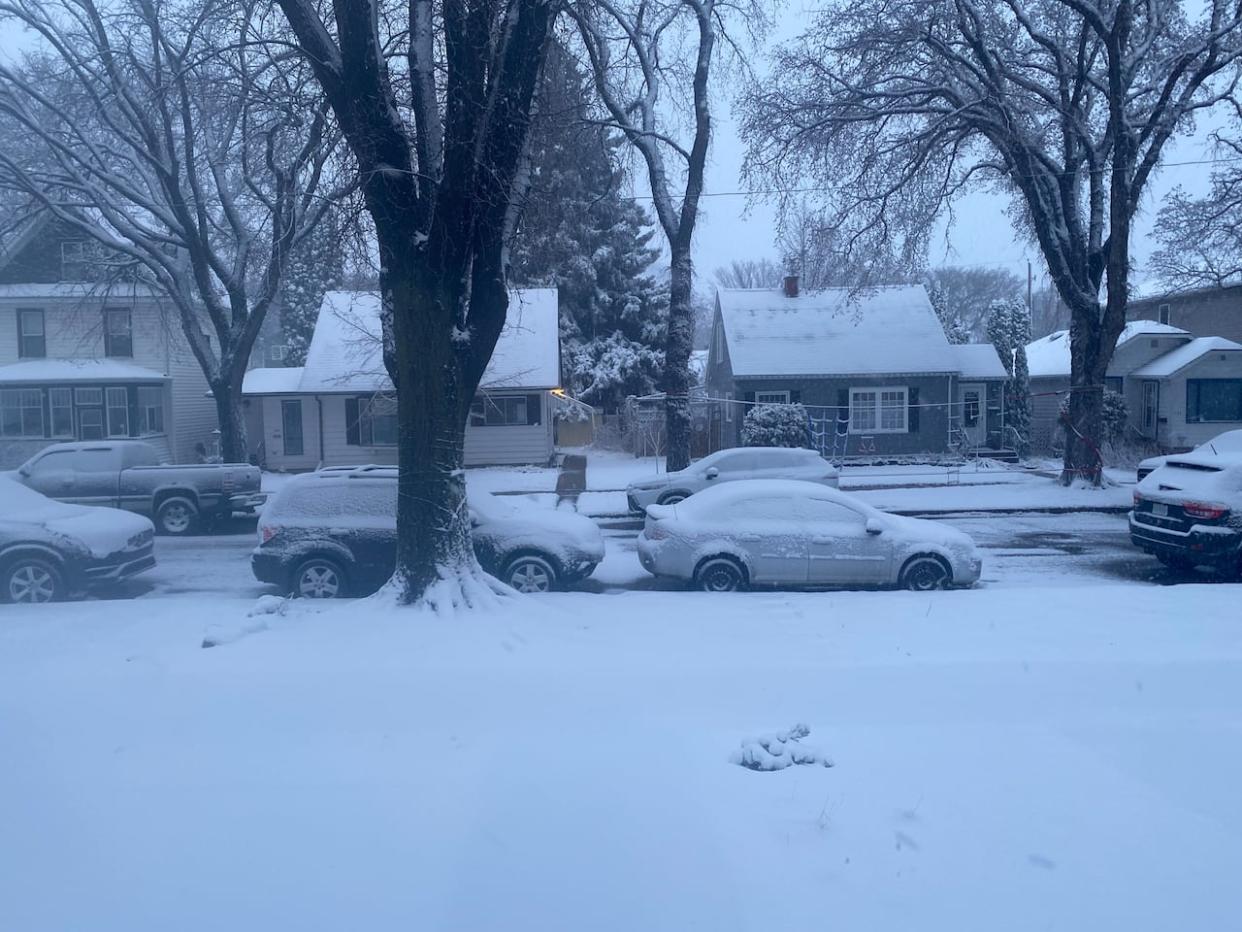 Saskatoon residents woke up Wednesday to covered streets and cars. (Leisha Grebinski/CBC - image credit)