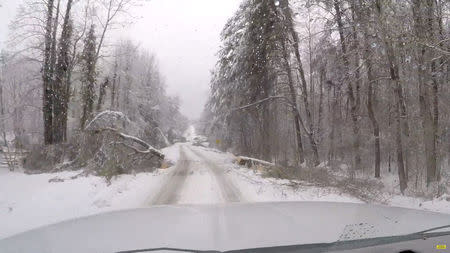 Fallen trees are seen on the side of a road in Landrum, South Carolina, U.S., December 9, 2018 in this still image from video obtained from social media. Off-Road Adventures/via REUTERS